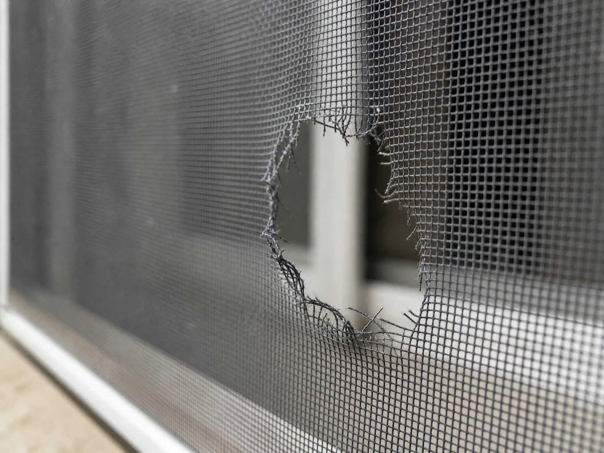Close-up of a torn window screen mesh with a visible hole