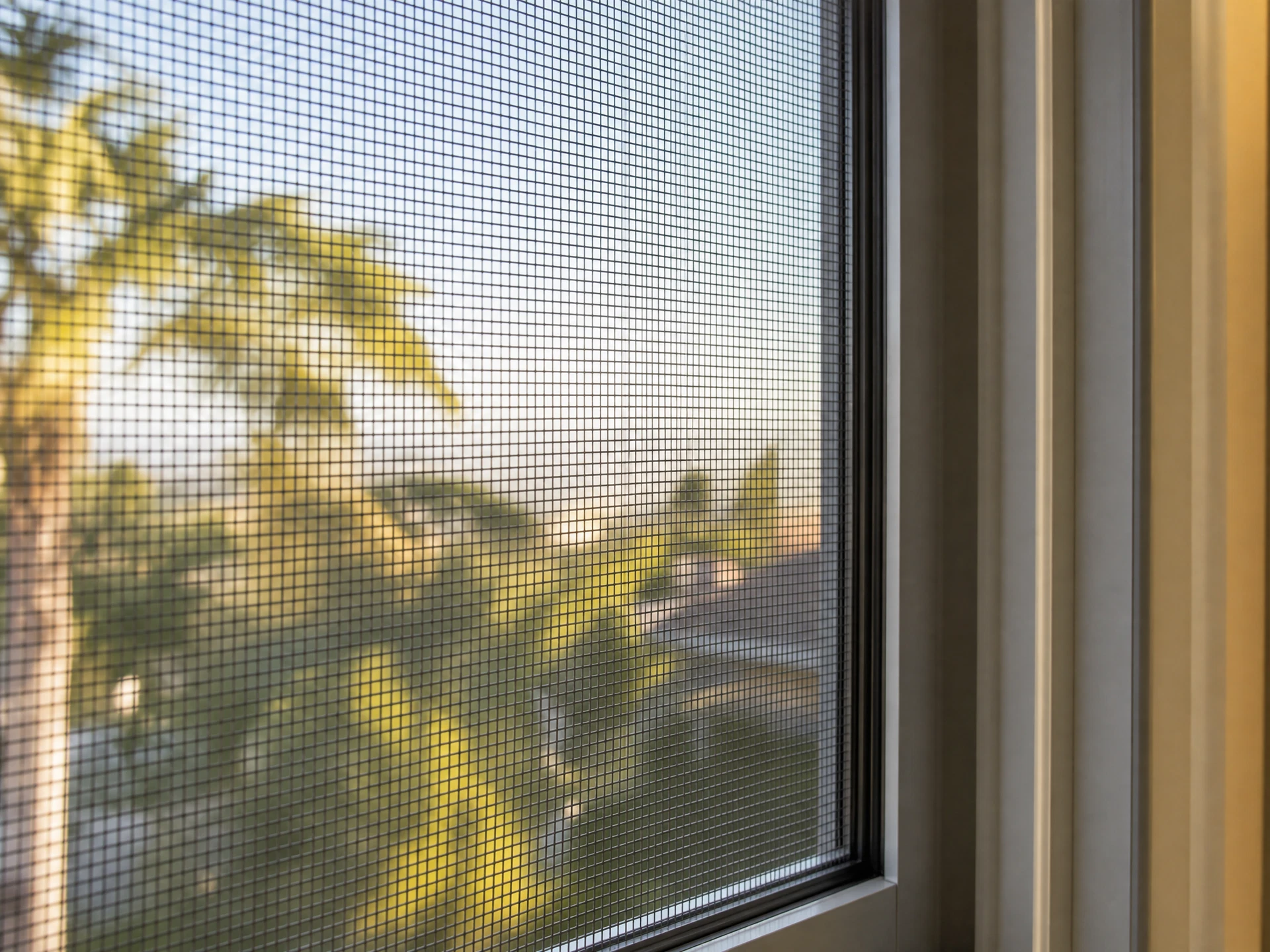 Fine mesh mosquito window screen showing the tight weave that keeps insects out while allowing airflow